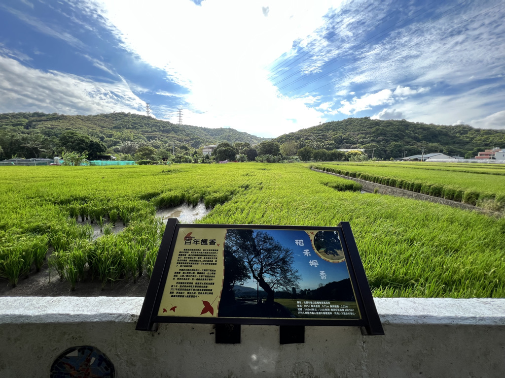 D9137155-470D-42EA-AB1F-6A54DA7ACFDE_1_105_c